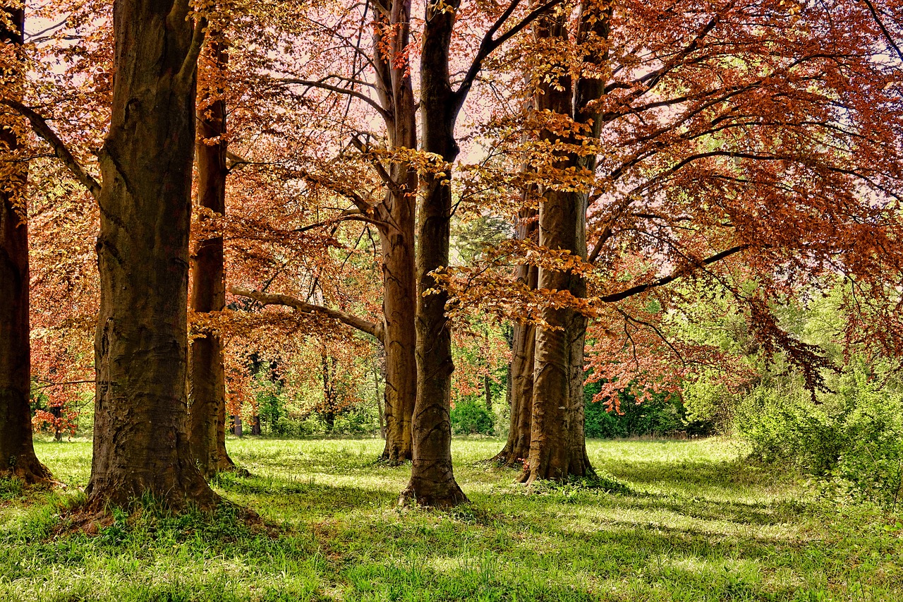 Gysenbergpark Herne